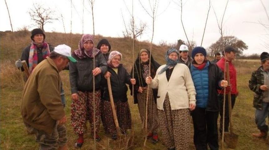 Malkara&rsquo;da 500 Fidan Toprakla Buluştu
