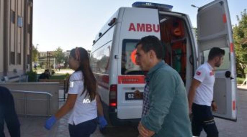 Kahta&rsquo;da 1 Kişiyi Yılan Soktu