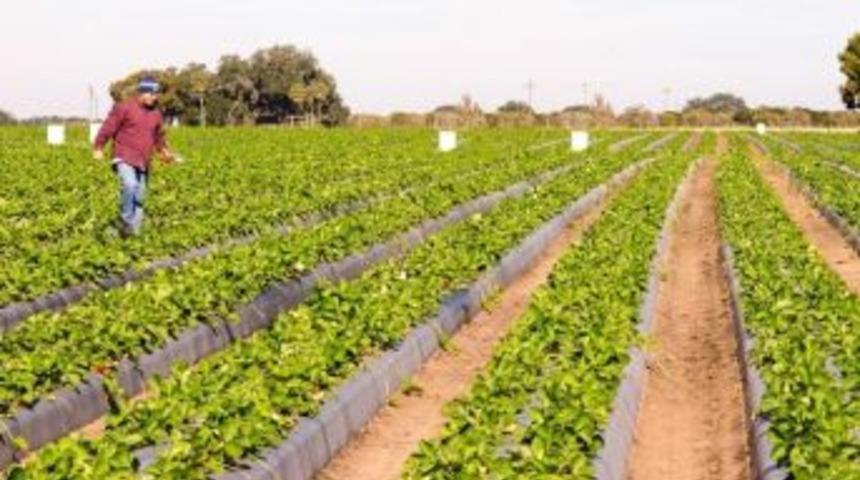 &Ccedil;ks Başvuru S&uuml;resi 30 Haziran&rsquo;a Uzatıldı