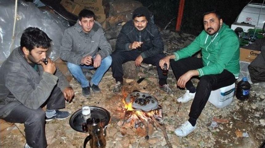 (&ouml;zel Haber) Antalya Seralarında &Ccedil;ift&ccedil;inin &rsquo;don&rsquo; N&ouml;beti