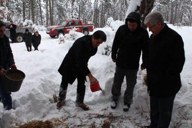 Keles’te Yaban Hayvanlar İçin Doğaya Yemek Bıraktılar