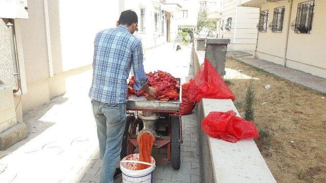 Ev Yapımı Salça Sezonu Başladı