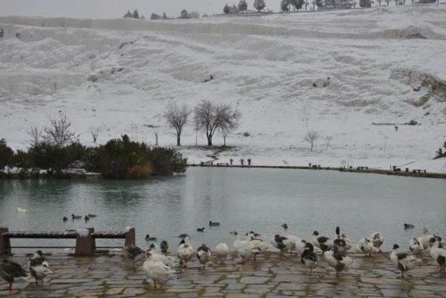 Pamukkale Karla Daha Güzel