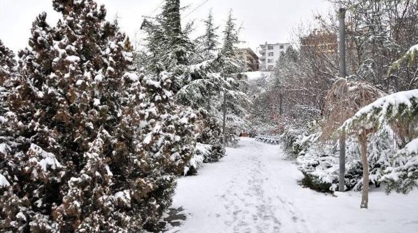 Ke&ccedil;i&ouml;ren Kar İle Bir Başka G&uuml;zel