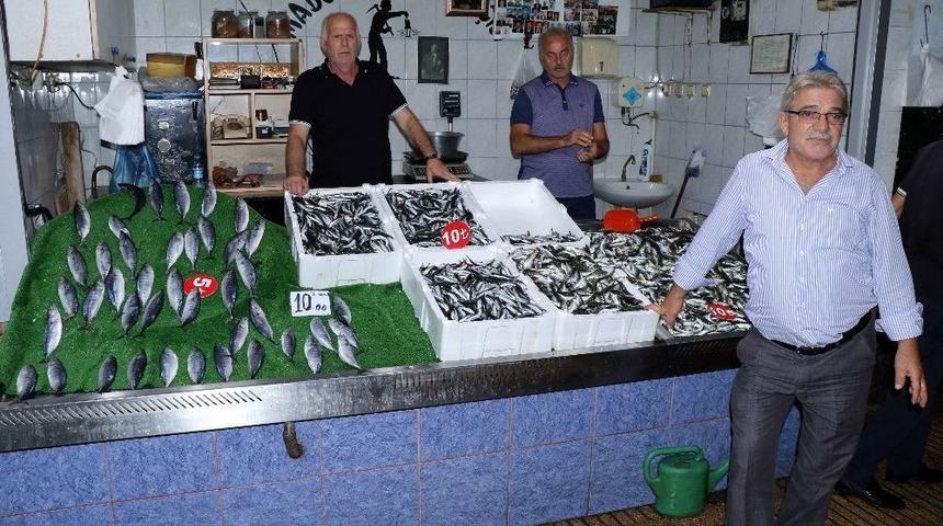 Tezgahlarda Hamsi Ve İstavrit Bolluğu