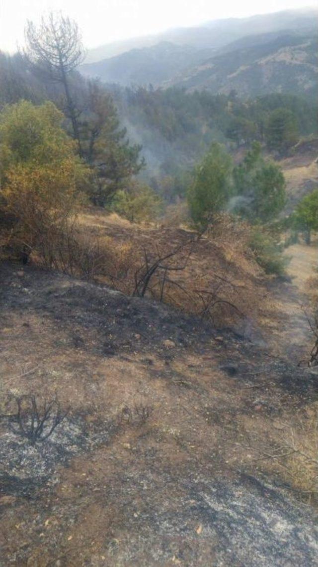 Kırık Cam Yangın &Ccedil;ıkardı 1