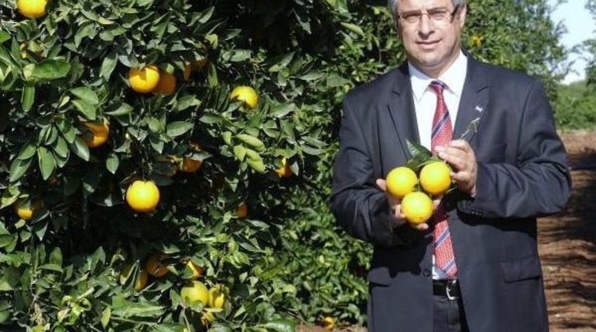 &Ccedil;ukurova'da &Uuml;reticiye Don Uyarısı