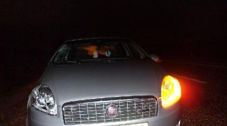 Otomobilin &Ccedil;arptığı Yaya &Ouml;ld&uuml;