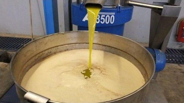 Tariş&rsquo;in Zeytinyağına 9 Lira Net Fiyat A&ccedil;ıklaması &Uuml;reticiyi Sevindirdi 1