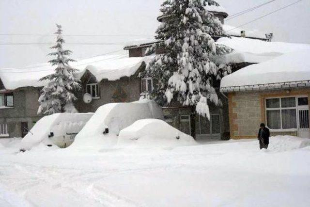 Ordu'da 330 Mahalle Yolu Kar Nedeniyle Ulaşıma Kapandı