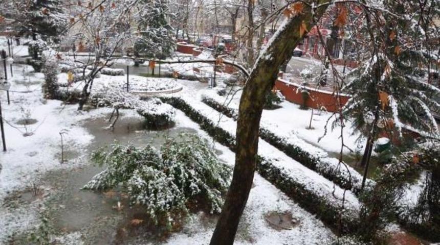 G&ouml;lbaşı Beyaza B&uuml;r&uuml;nd&uuml;