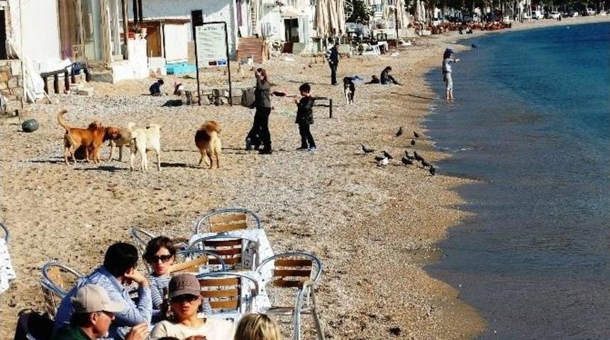 Bodrum&rsquo;da Kasım Ayında Yaz Keyfi