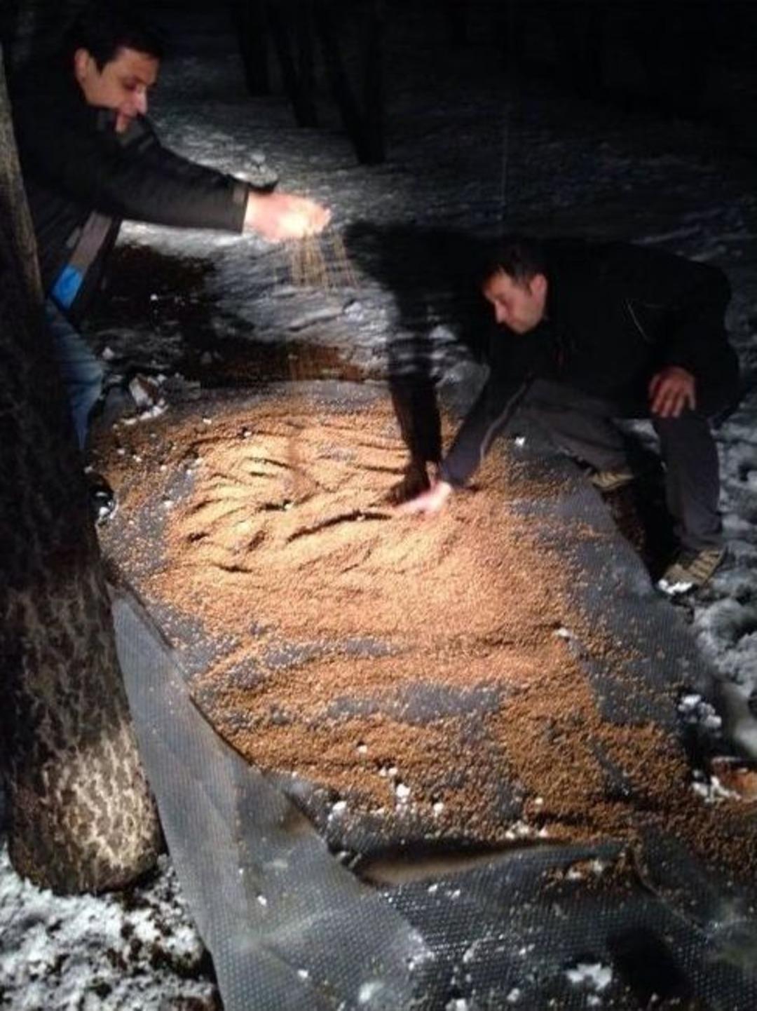 Veziroff&rsquo;tan Yaban Hayatına Yem Desteği