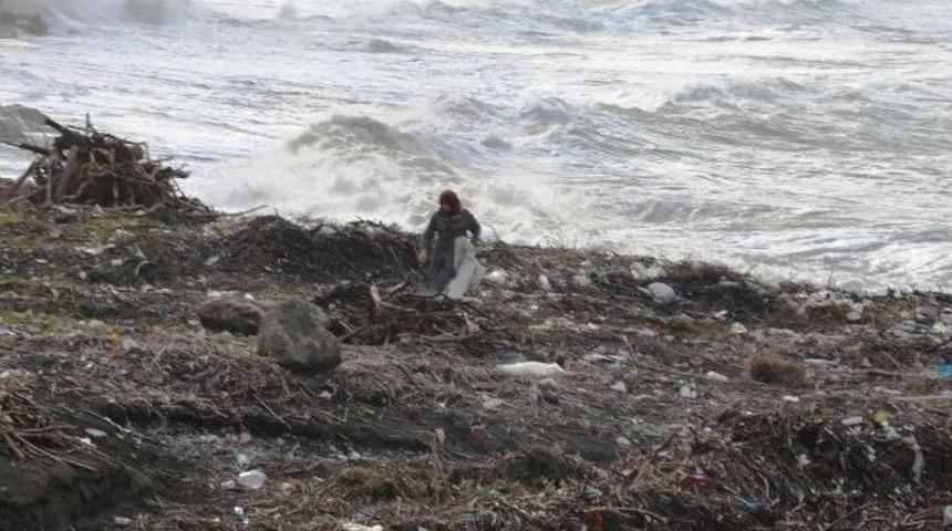 Sel Sularından Ağa&ccedil; Topladılar