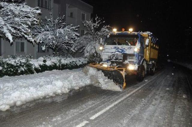 Kartepe Kara Yenik Düşmedi