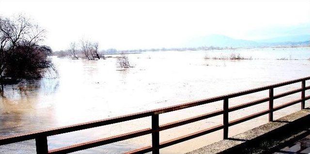 Menderes Taşkını 5 Bin Dönüm Ekili Araziyi Sular Altına Bıraktı