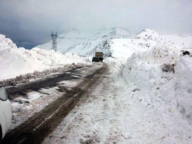 Doğu Ve Güneydoğu'da Beyaz Esaret