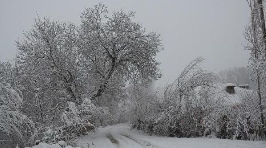 Doğu Kara G&ouml;m&uuml;ld&uuml;, Hakkari'de Okullar Tatil (3)