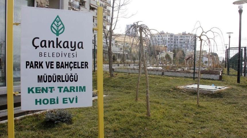 Kent Tarım Hobi Evinde Yeni D&ouml;nem 4 Ekim&rsquo;de Başlıyor