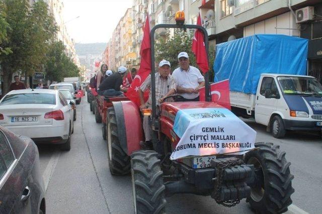 Zeytin Festivalinde Renkli Y&uuml;r&uuml;y&uuml;ş 3