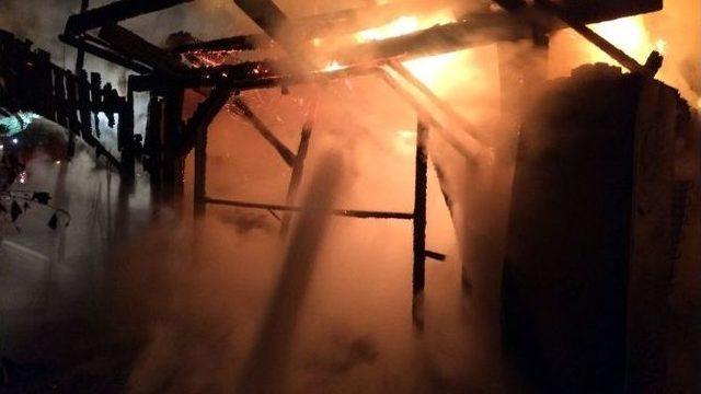 Kocaeli’de Kamping Tesislerinde Yangın Paniği