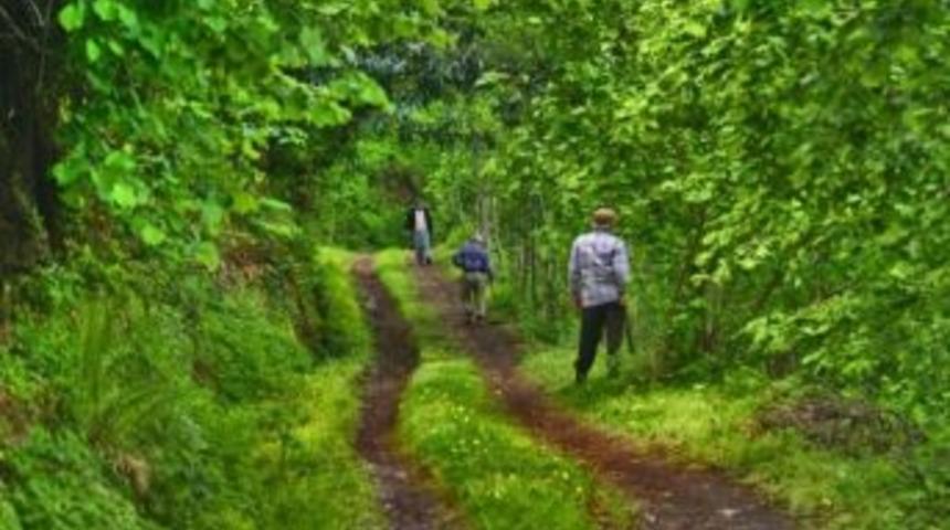 Kfmib: &ldquo;fındık Bah&ccedil;eleri Islah Edilmeli&rdquo;
