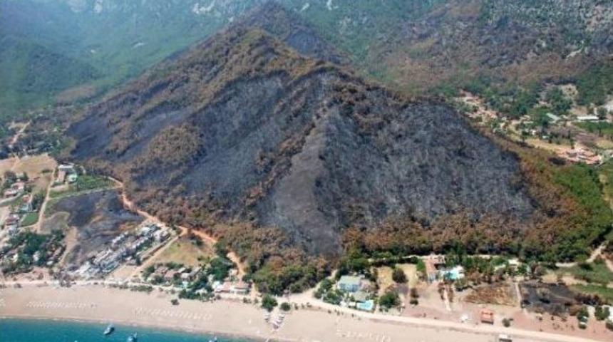 Yangınla Kararan Adrasan , 1 Yıl İ&ccedil;inde 250 Bin Yeni Fidanla Yeşile B&uuml;r&uuml;nd&uuml;