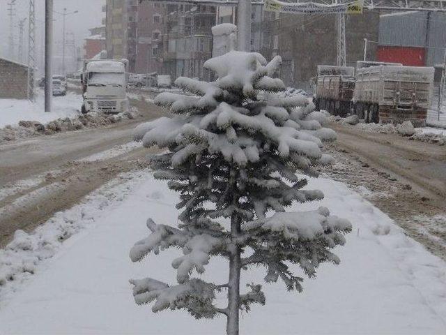 Şemdinli’de Kar Yağışı