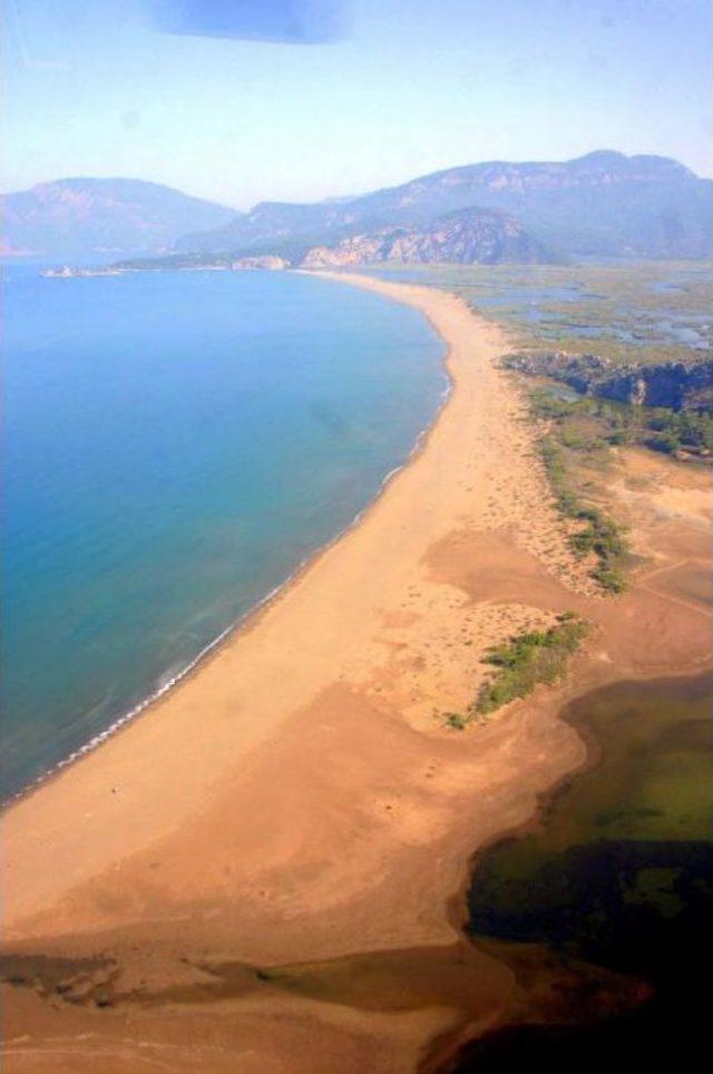 İZTUZU MÜCADELESİ, CHP Lİ BAŞKANI HASTANELİK ETTİ 3