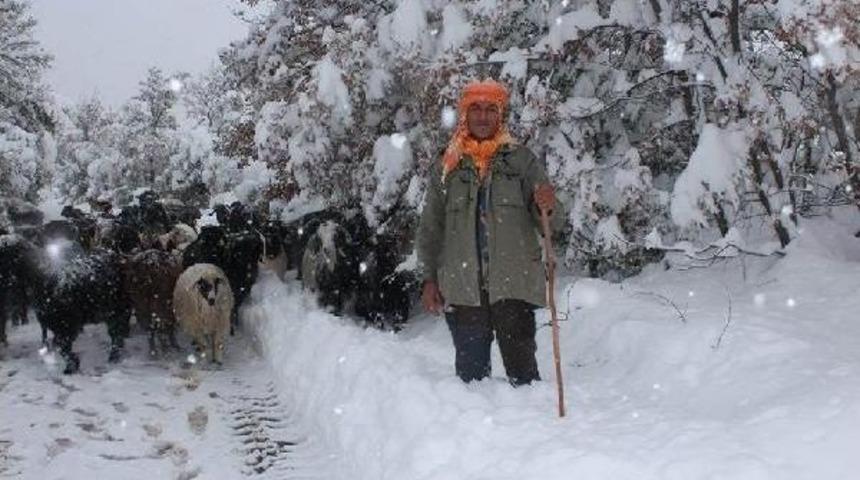 Karda Mahsur Kalan &Ccedil;oban Ve Ke&ccedil;ileri Kurtarıldı