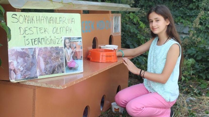 (&ouml;zel Haber) 11 Yaşında Sokaklarda Keman &Ccedil;alarak Kedi Evi Yaptırdı