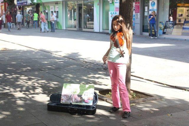 (özel Haber) 11 Yaşında Sokaklarda Keman Çalarak Kedi Evi Yaptırdı