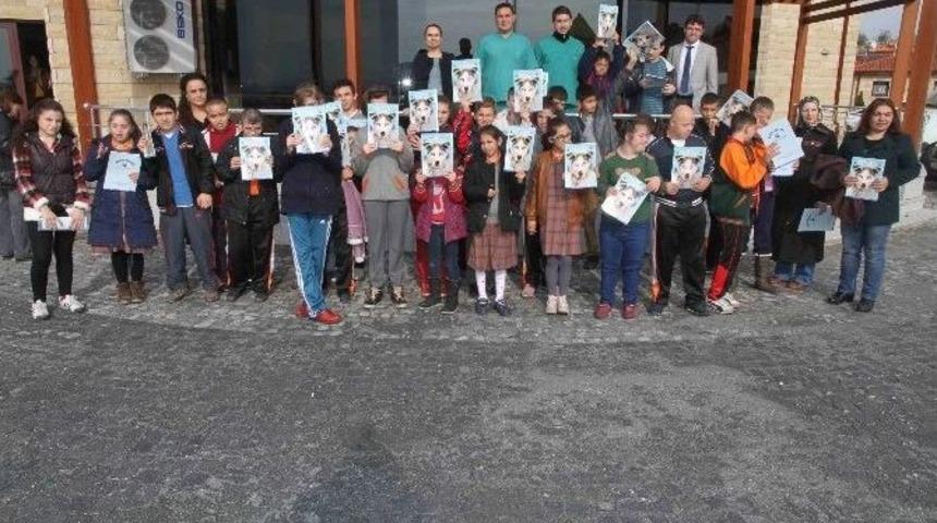 Minik &Ouml;ğrenciler, Hayvan Barınağını Gezdi