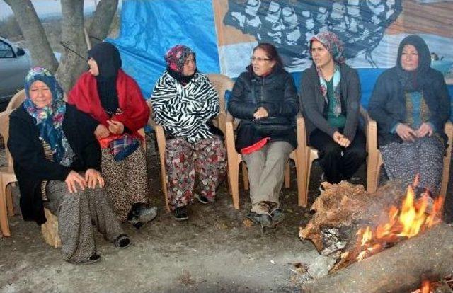 YIRCALILARA İSTANBULLU VE ANKARALI ÇEVRECİLERDEN DESTEK