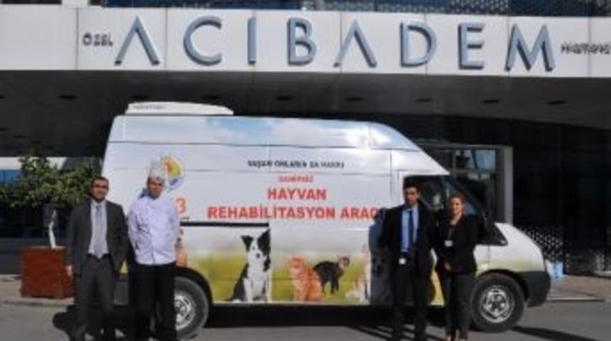 Acıbadem Sokak Hayvanlarına Sahip &Ccedil;ıkıyor