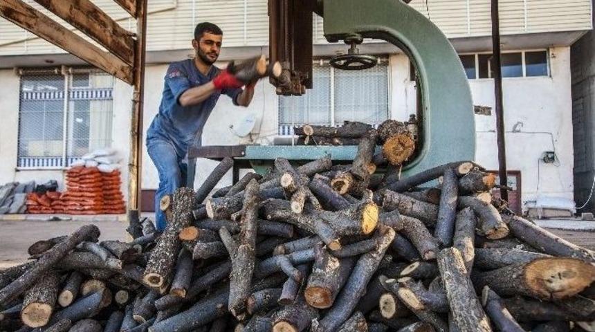 Havalar Soğudu Yakacak Satışları Arttı