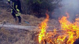 Anız Yangını Arı Kovanlarını Kül Etti