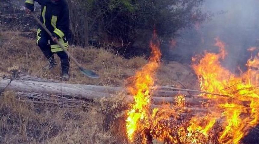 Anız Yangını Arı Kovanlarını Kül Etti