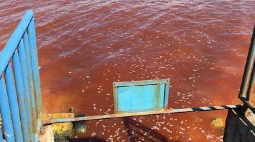 Arıtma Tesisindeki Çatlak Denizi Kırmızıya Boyadı