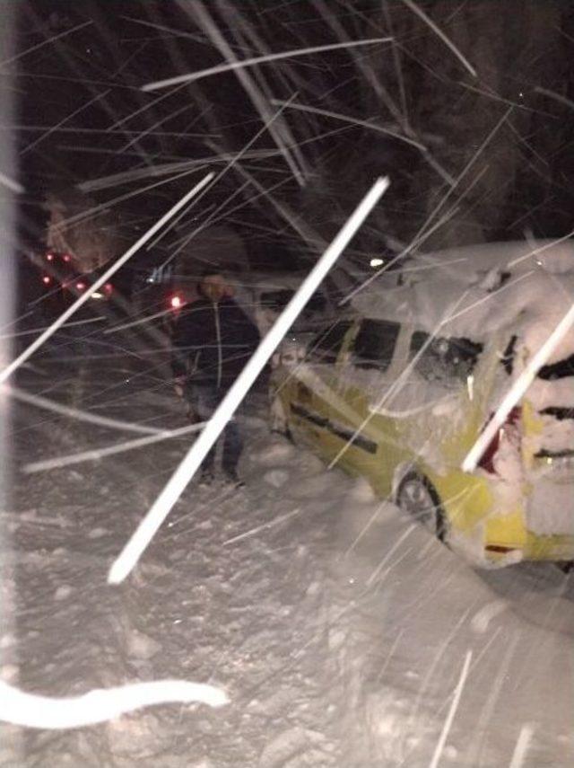 Uludağ Yolu Devrilen Ağaç Yüzünden Kapandı