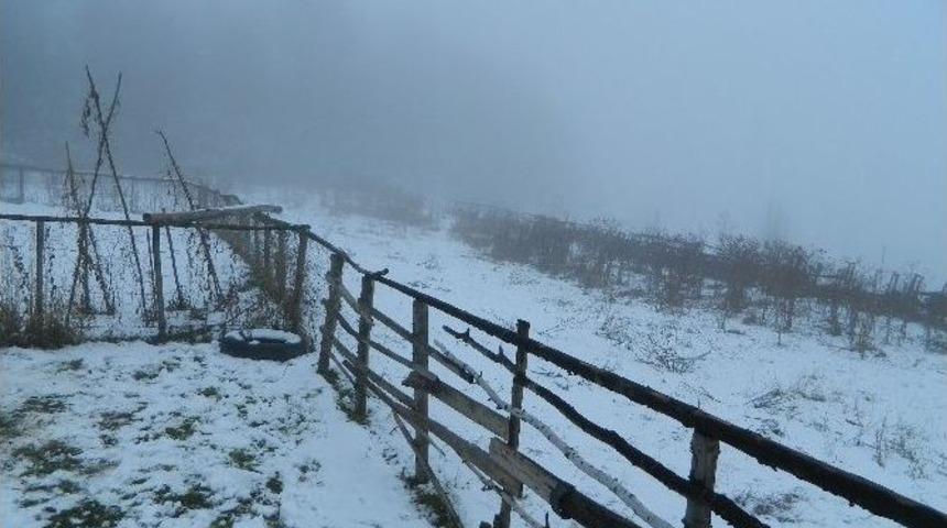 Posof&rsquo;ta Kar Yağışı Etkili Oldu