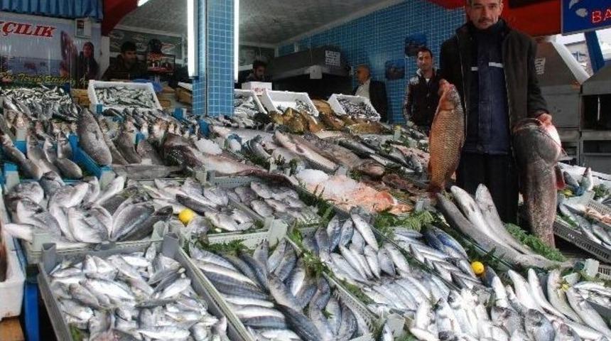 Tokat&rsquo;ta Balık&ccedil;ı Tezgahları Şenlendi
