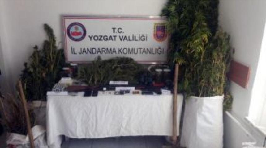Jandarmadan Uyuşturucu Operasyonu