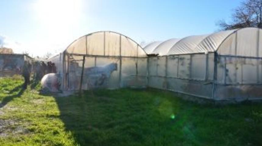 Sebzeleri Soğuktan Zarar G&ouml;ren &Ccedil;ift&ccedil;i Kendisini Astı