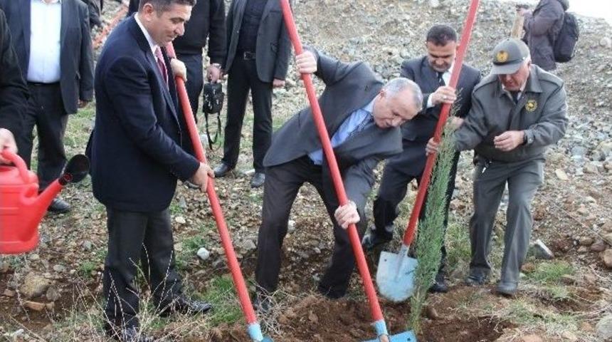 10 Bin Fidan Toprakla Buluştu