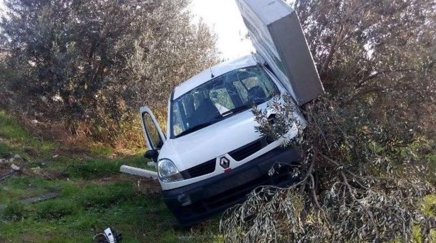 Kamyonet Zeytin Tarlasına U&ccedil;tu