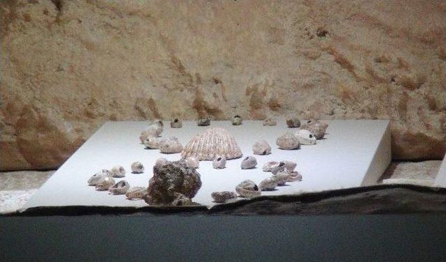 D&uuml;nyanın En B&uuml;y&uuml;k Mozaik M&uuml;zesinden Biri Hatay&rsquo;da 1