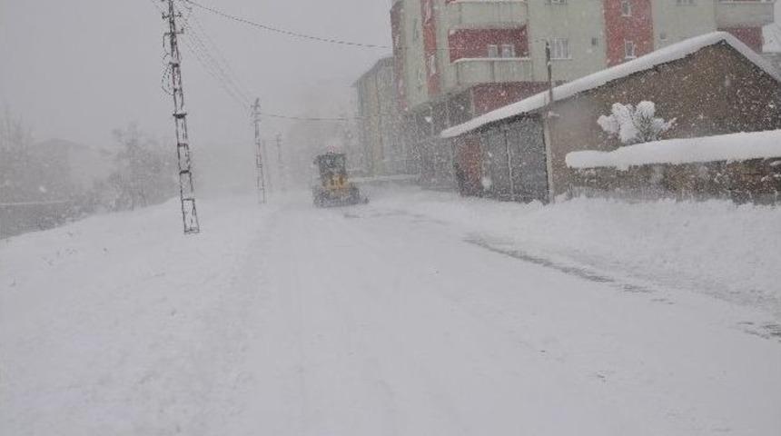Y&uuml;ksekova Belediyesi&rsquo;nden Karla M&uuml;cadele &Ccedil;alışması
