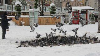 Giresun’da Kar Yağışı