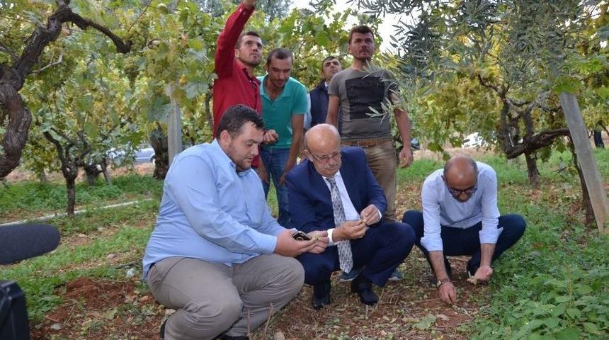 Dolu Mağduru İznikli &Ccedil;ift&ccedil;ilere Destek